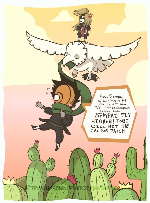 Tobi Flying above the Cactus Field